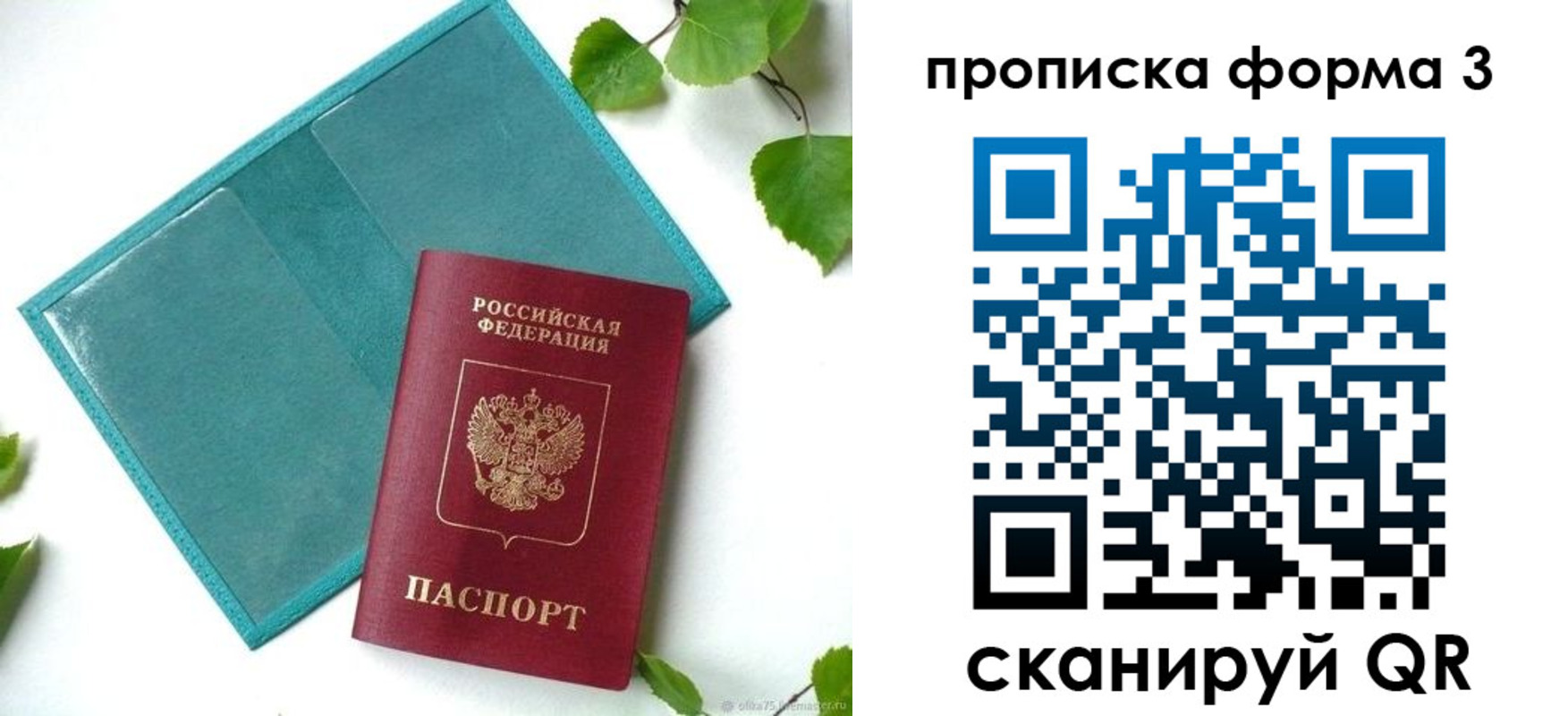 пропишу в квартире в Оленегорске